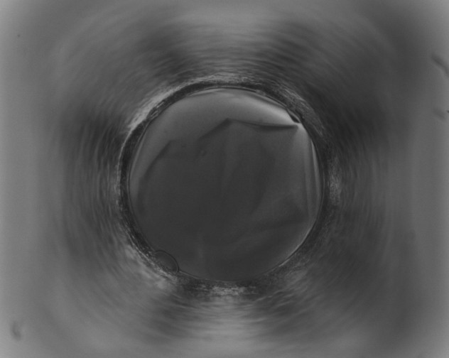 X0000100870484200807111321