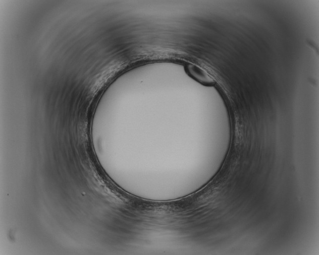 X0000100870485200807111321