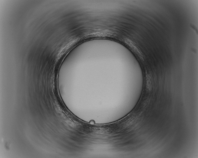 X0000100870486200807111321