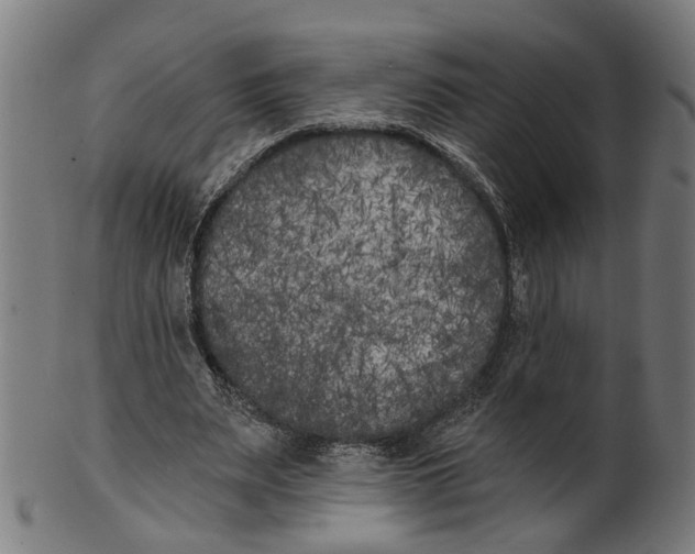 X0000100870487200807111321