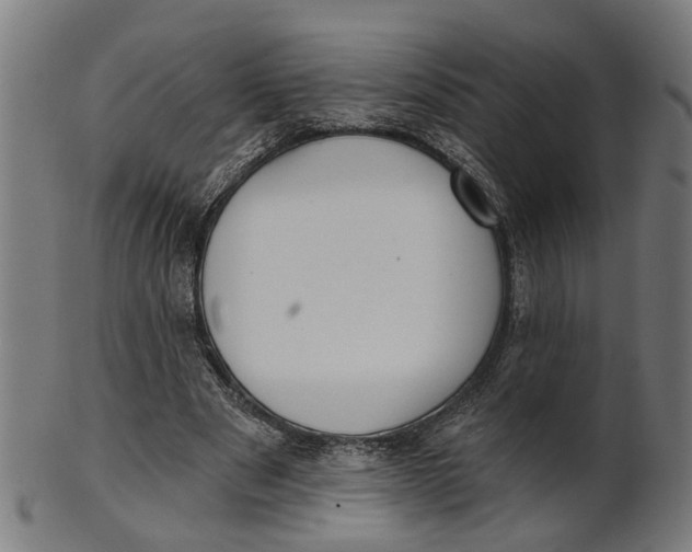 X0000100870489200807111321