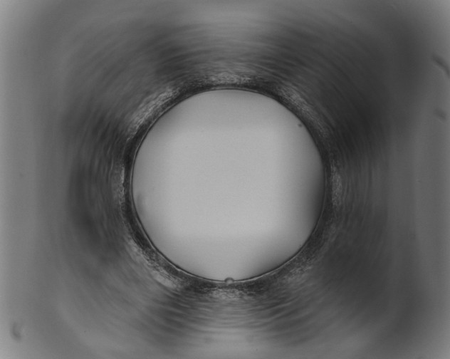 X0000100870490200807111321