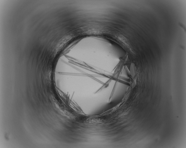 X0000100870491200807111321