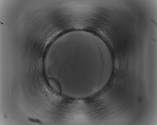 X0000100870492200807111321