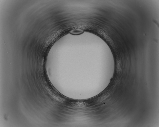 X0000100870493200807111321