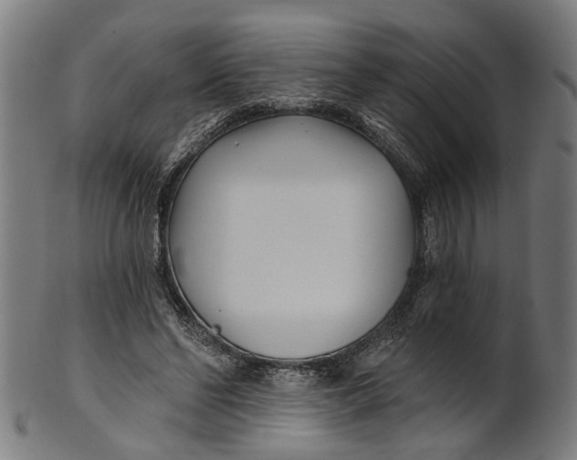 X0000100870494200807111321