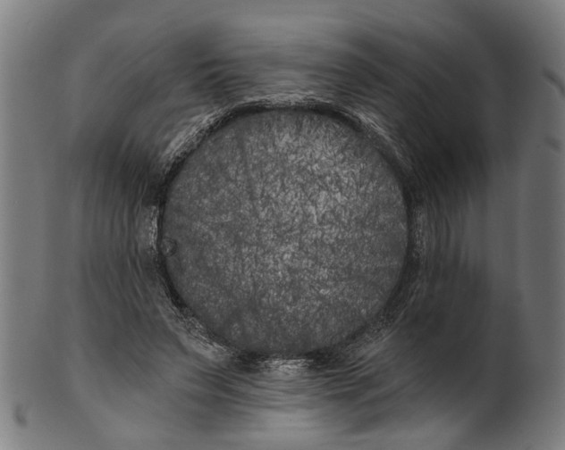 X0000100870495200807111321