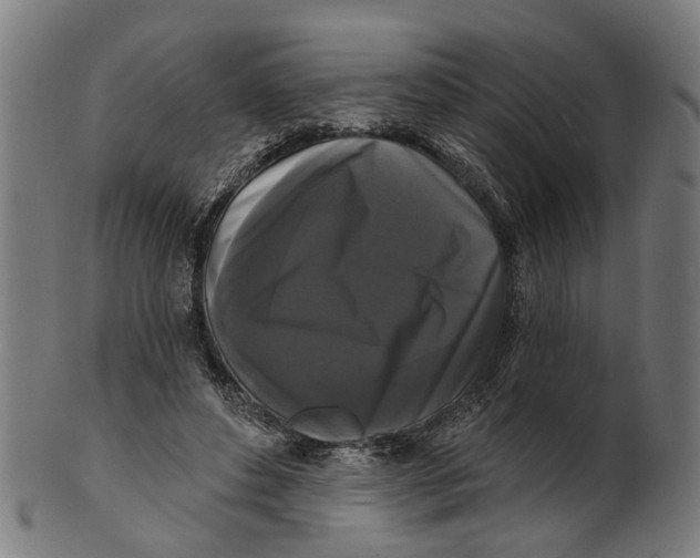 X0000100870496200807111321