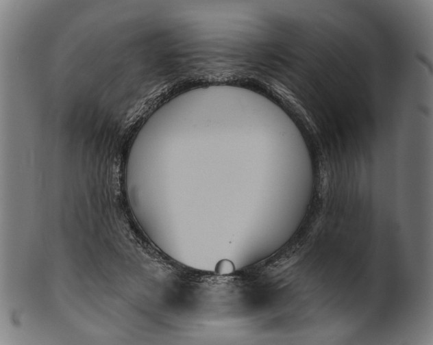 X0000100870497200807111321