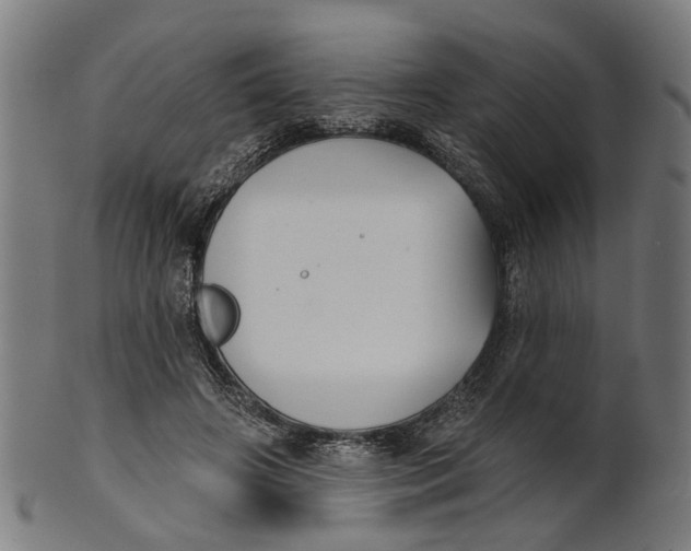 X0000100870498200807111321