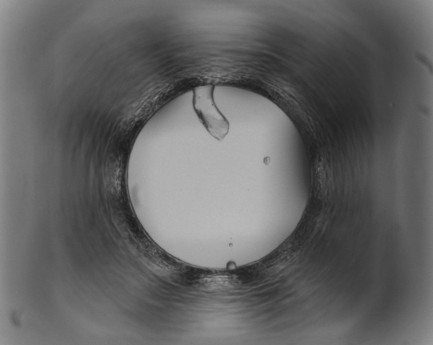 X0000100870499200807111321