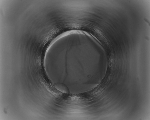 X0000100870500200807111321