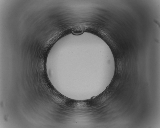 X0000100870501200807111321