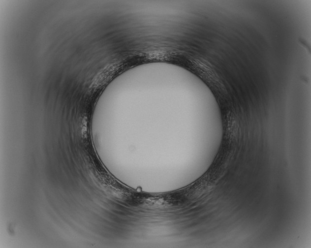 X0000100870502200807111321