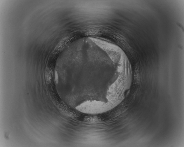 X0000100870503200807111321