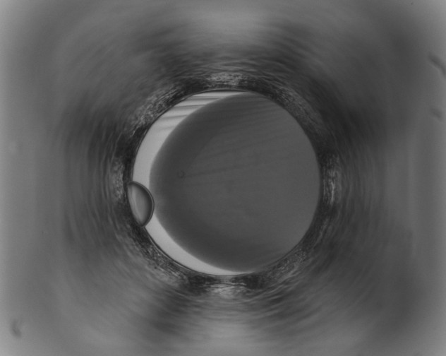 X0000100870504200807111321