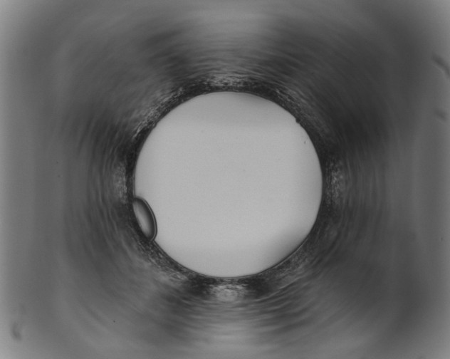 X0000100870508200807111321