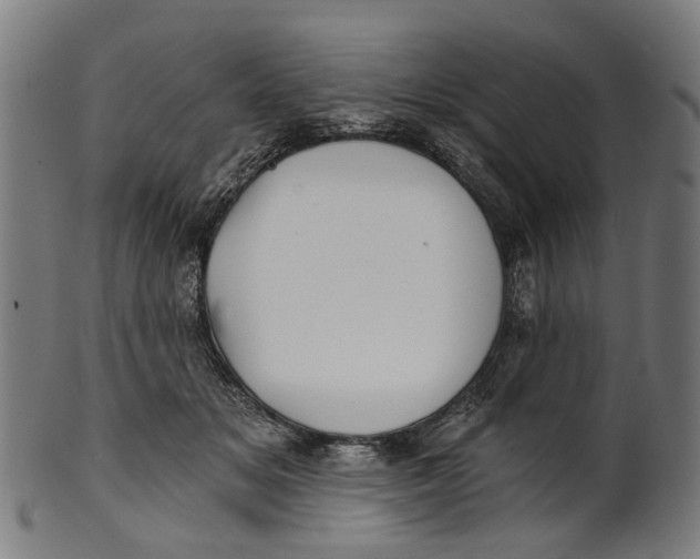 X0000100870509200807111321