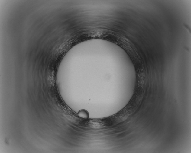 X0000100870510200807111321