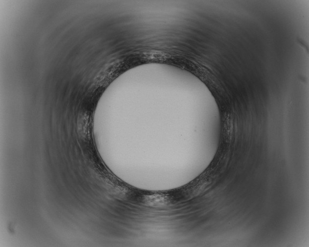 X0000100870511200807111321