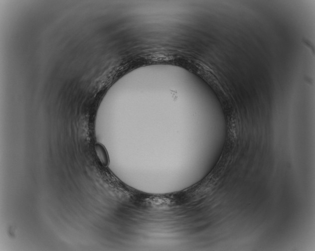 X0000100870512200807111321