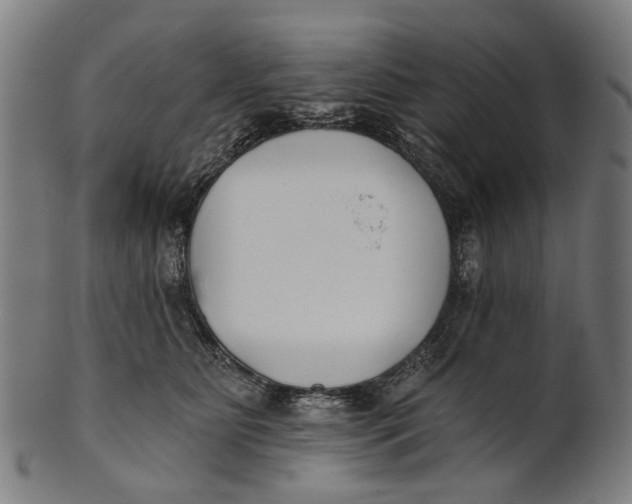 X0000100870515200807111321