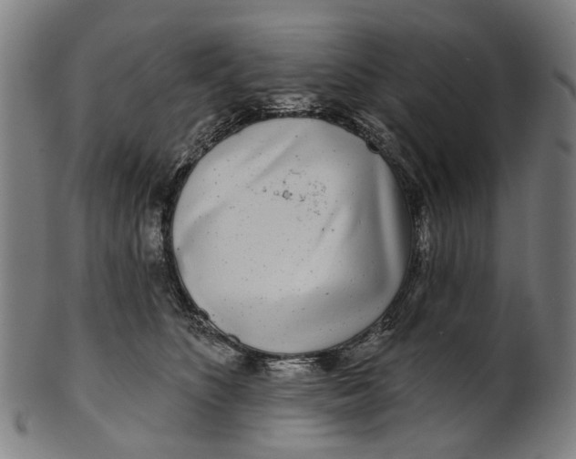 X0000100870516200807111321