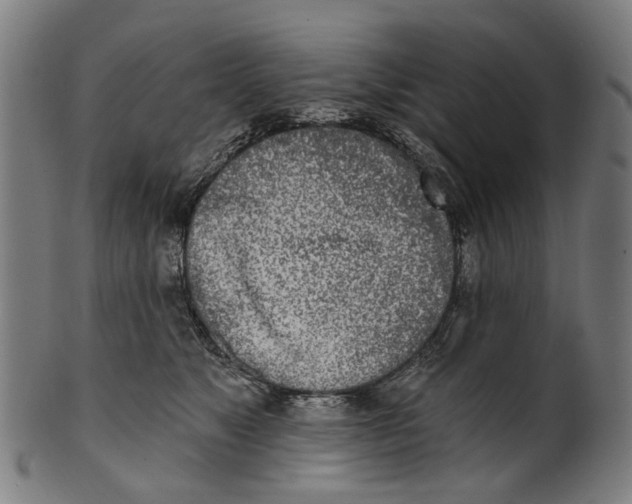 X0000100870517200807111321