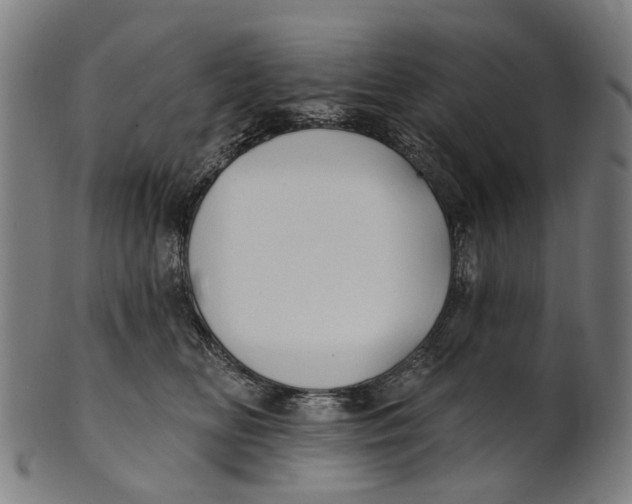 X0000100870518200807111321