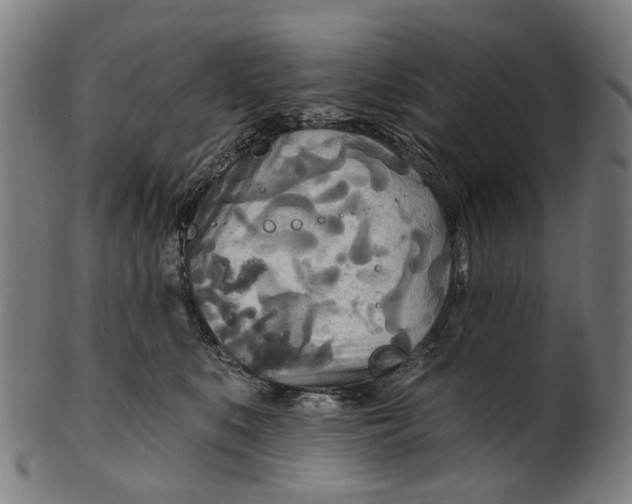 X0000100870519200807111321