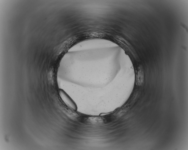 X0000100870520200807111321