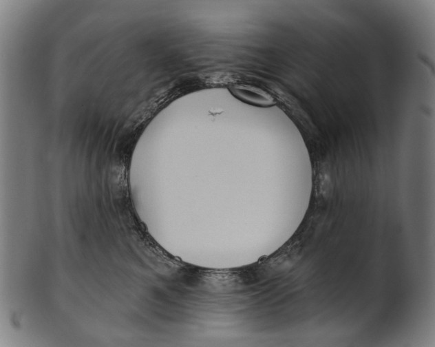 X0000100870521200807111321