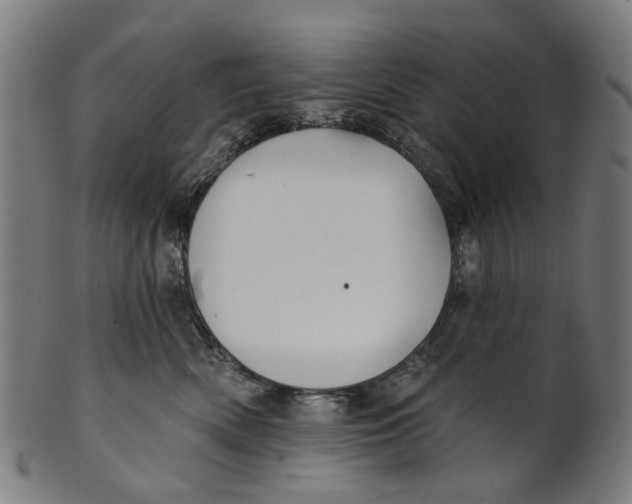 X0000100870522200807111321