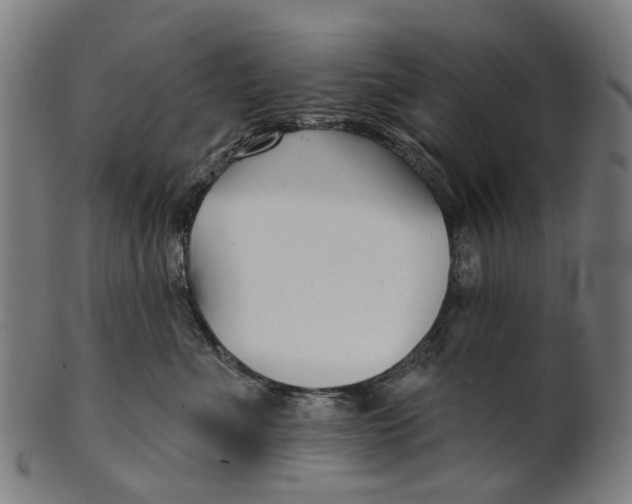 X0000100870523200807111321