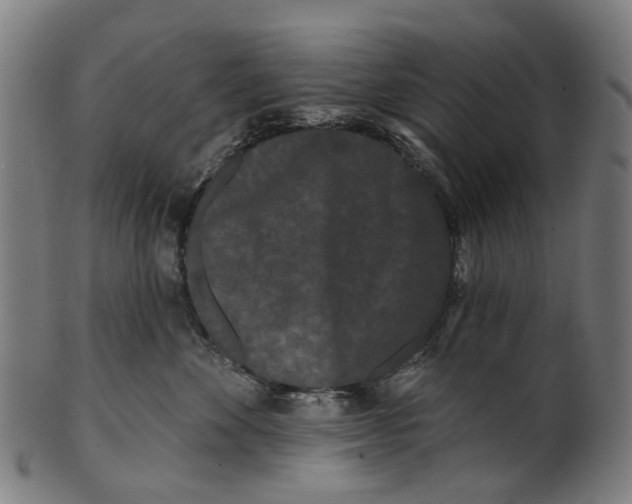 X0000100870524200807111321