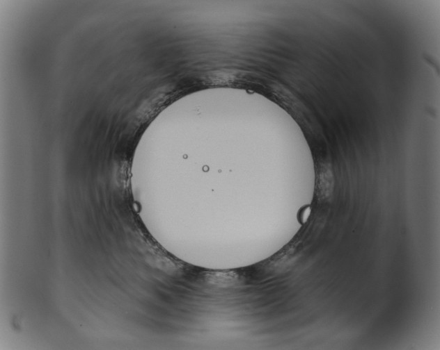 X0000100870525200807111321