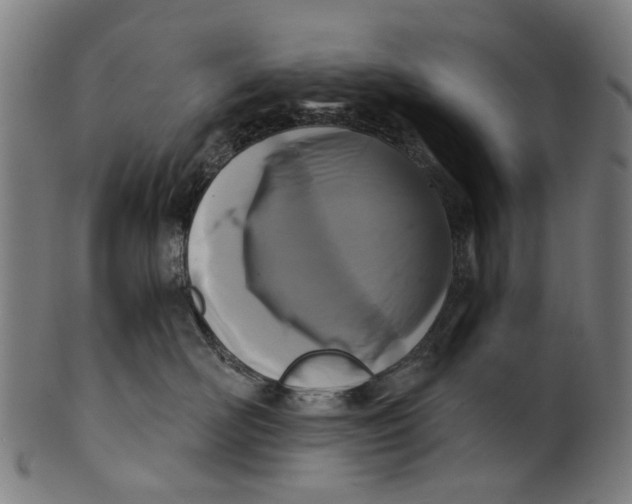 X0000100870526200807111321