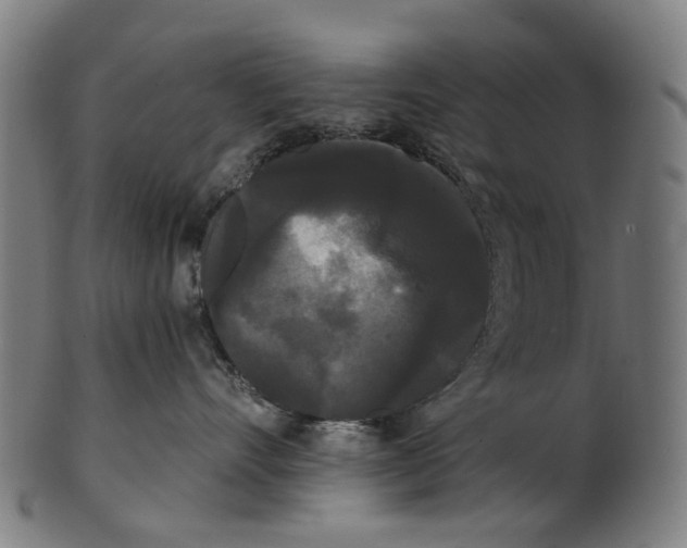 X0000100870528200807111321