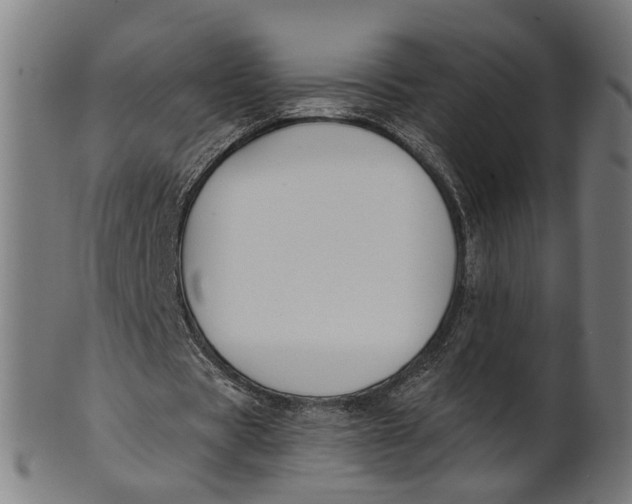 X0000100870529200807111320