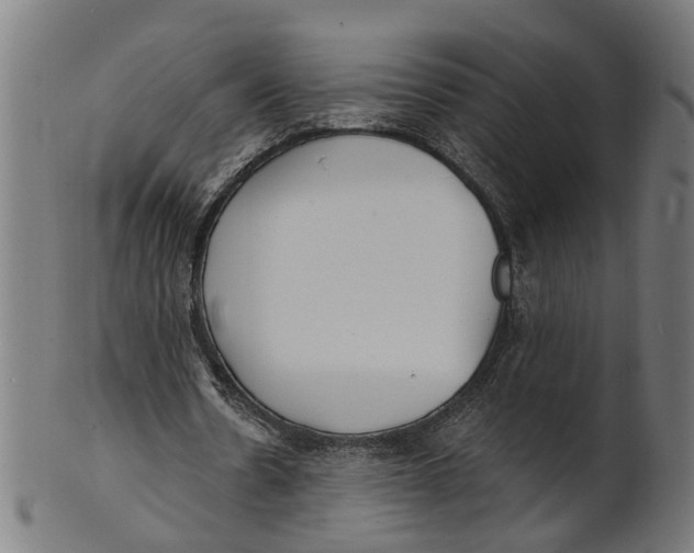 X0000100870530200807111320