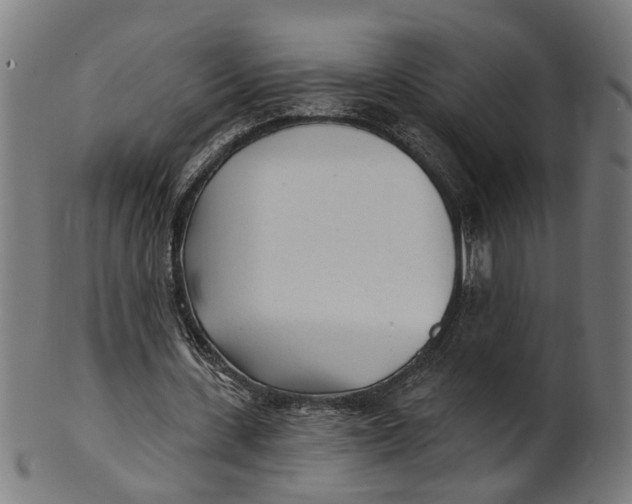 X0000100870531200807111320