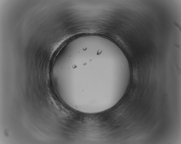 X0000100870532200807111320