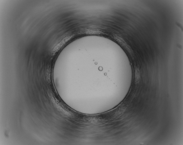 X0000100870533200807111320