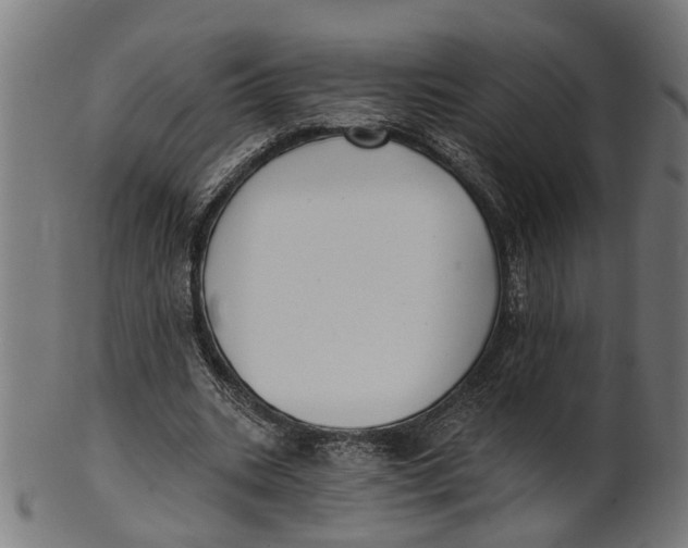 X0000100870535200807111320