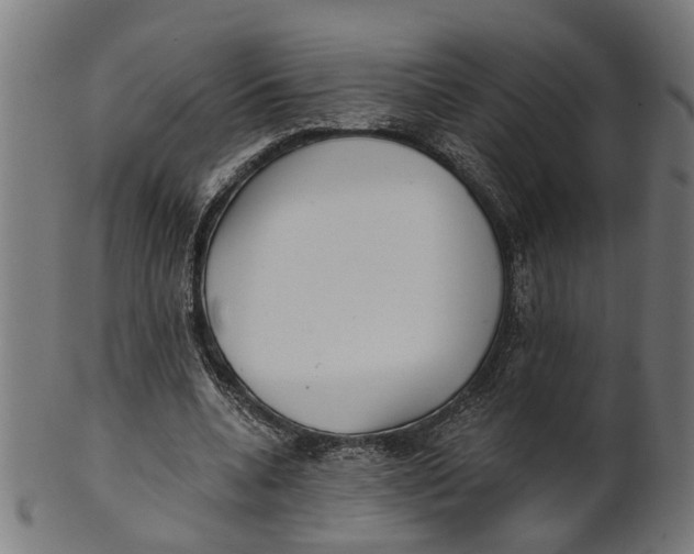 X0000100870536200807111320