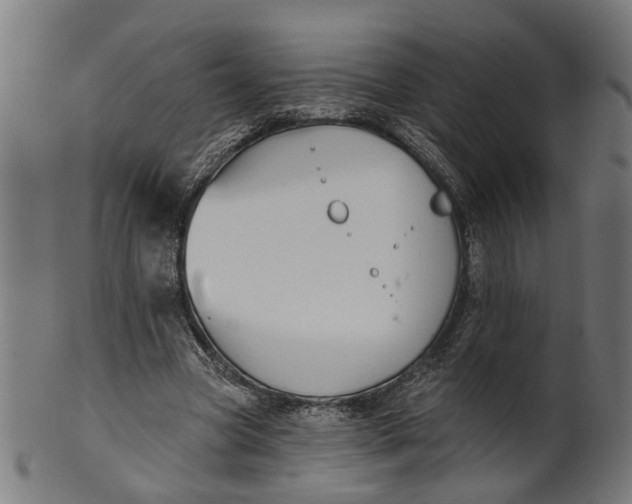 X0000100870537200807111320