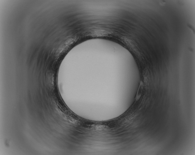 X0000100870539200807111320