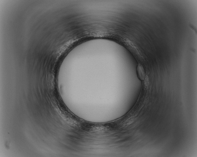 X0000100870540200807111320