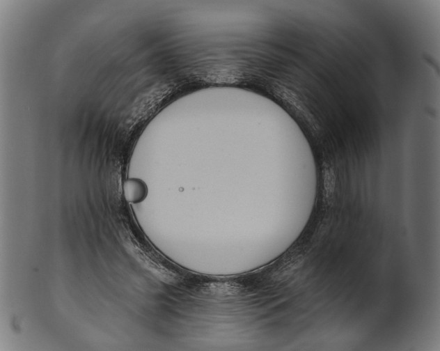 X0000100870541200807111320