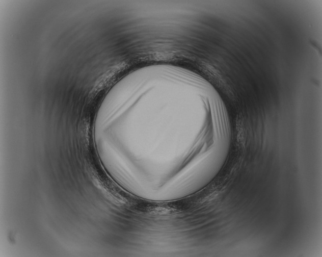 X0000100870542200807111320